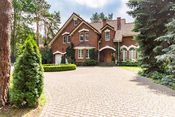 Best Local Driveway Pavers  in Iraan, TX