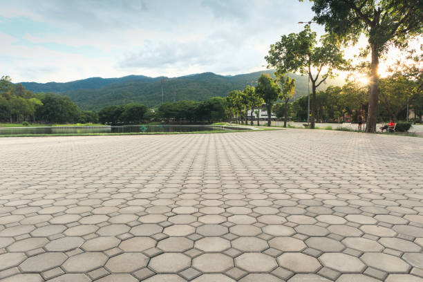 Best Professional Driveway Pavers  in Iraan, TX